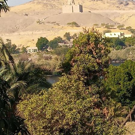 Freedom Nubian Guest House Ασουάν Εξωτερικό φωτογραφία