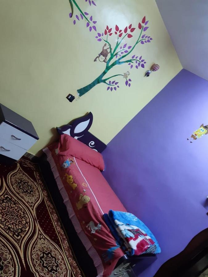 Freedom Nubian Guest House Ασουάν Εξωτερικό φωτογραφία