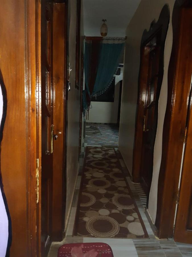 Freedom Nubian Guest House Ασουάν Εξωτερικό φωτογραφία